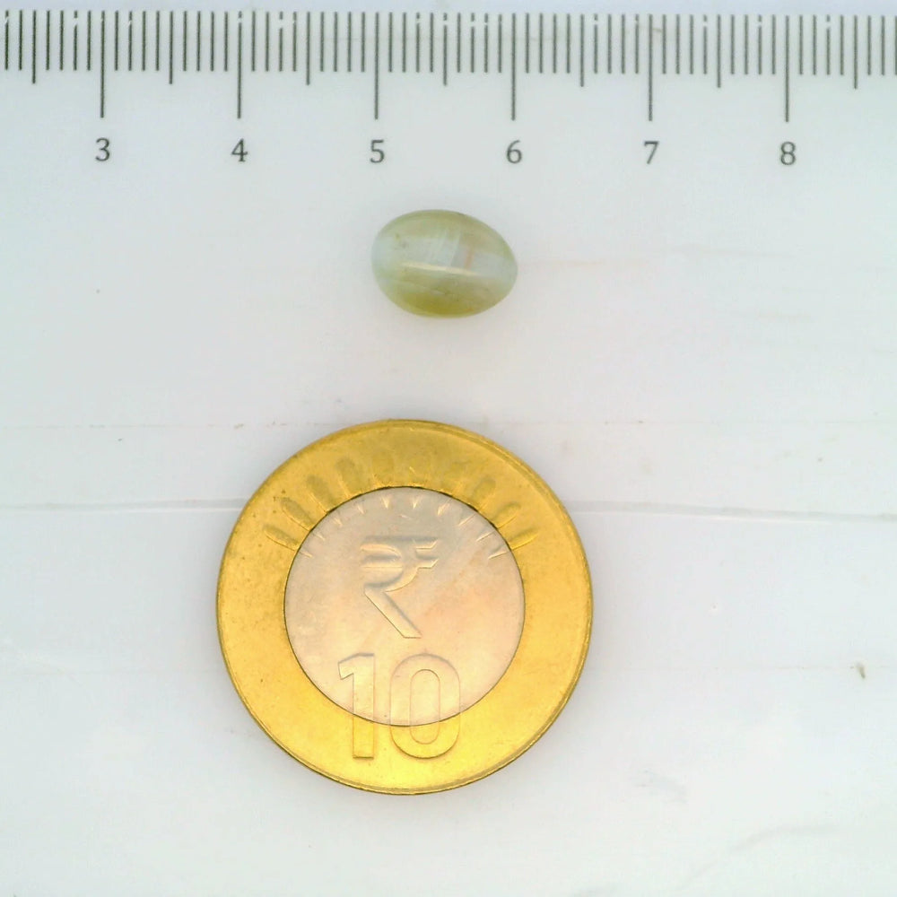 ITLGR_109794_SCALE.webp