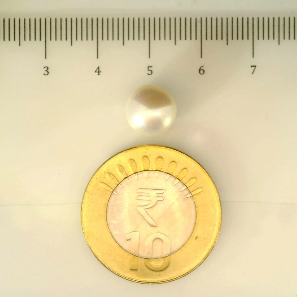 ITLGR_106954_SCALE.webp