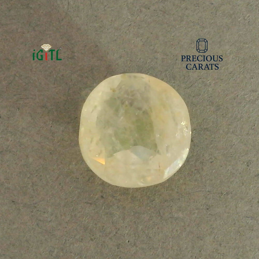 IGITL_200285_TOP.webp