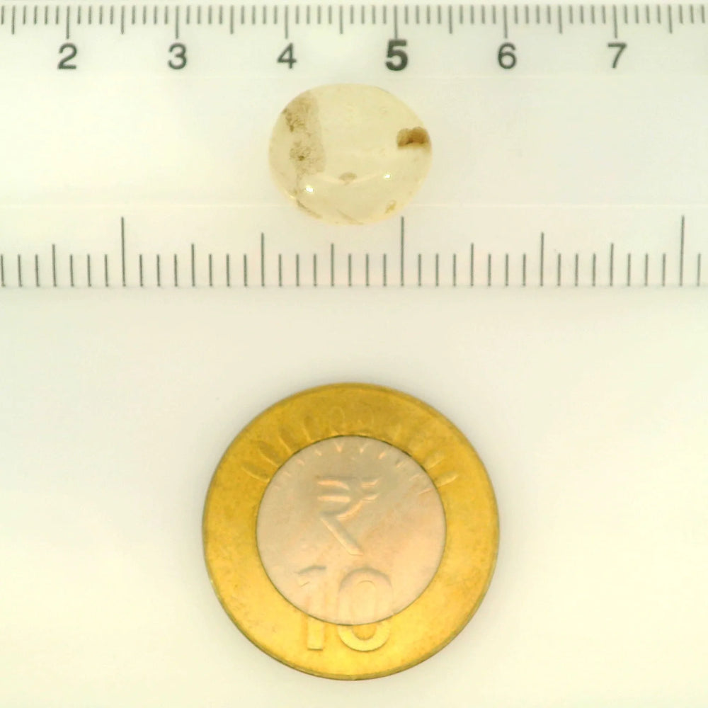 ITLGR_121467_SCALE.webp