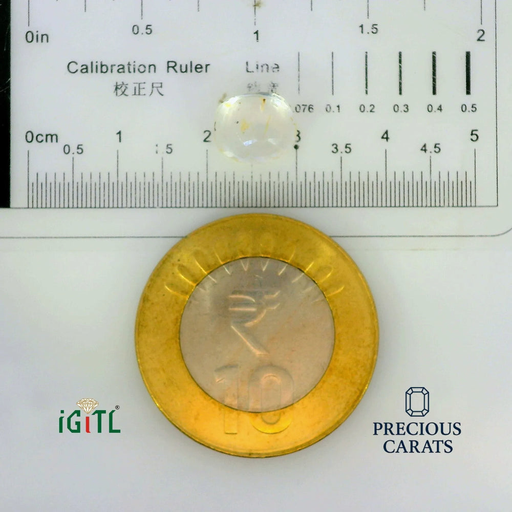 IGITL_197811_SCALE.webp