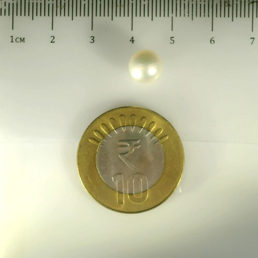 ITLGR_99847_SCALE.webp
