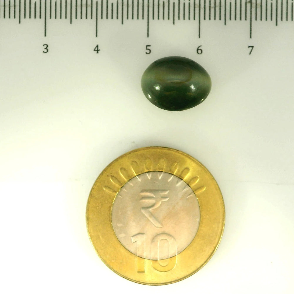 ITLGR_107060_SCALE.webp