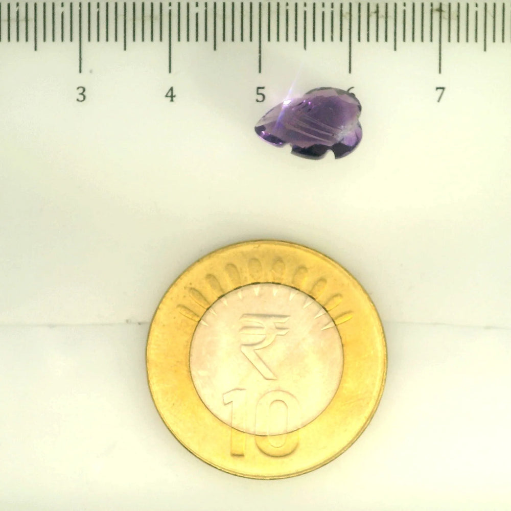ITLGR_109453_SCALE.webp