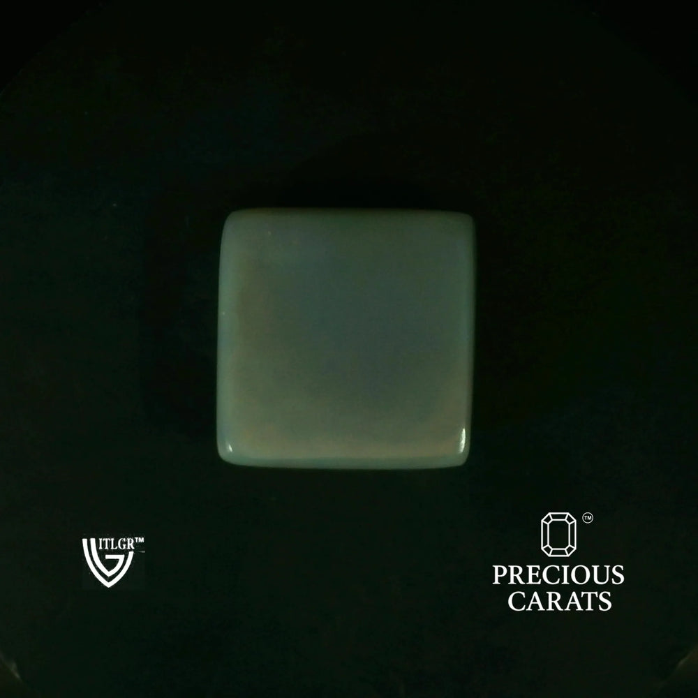 ITLGR_101958_TOP.webp