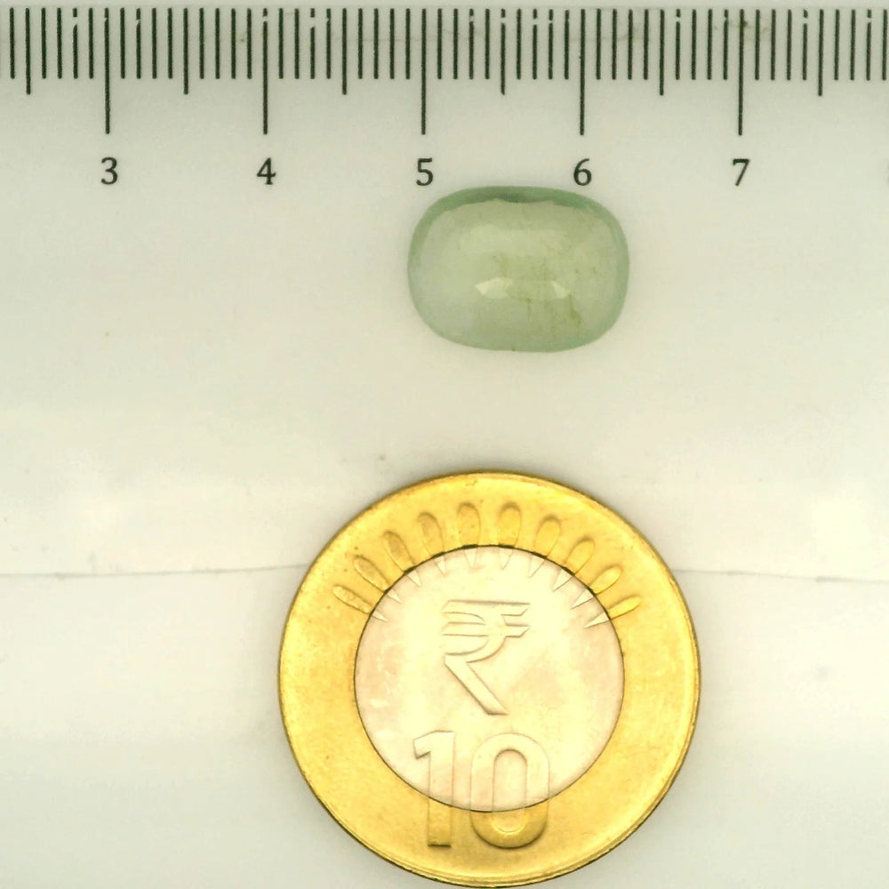 ITLGR_109493_SCALE.webp