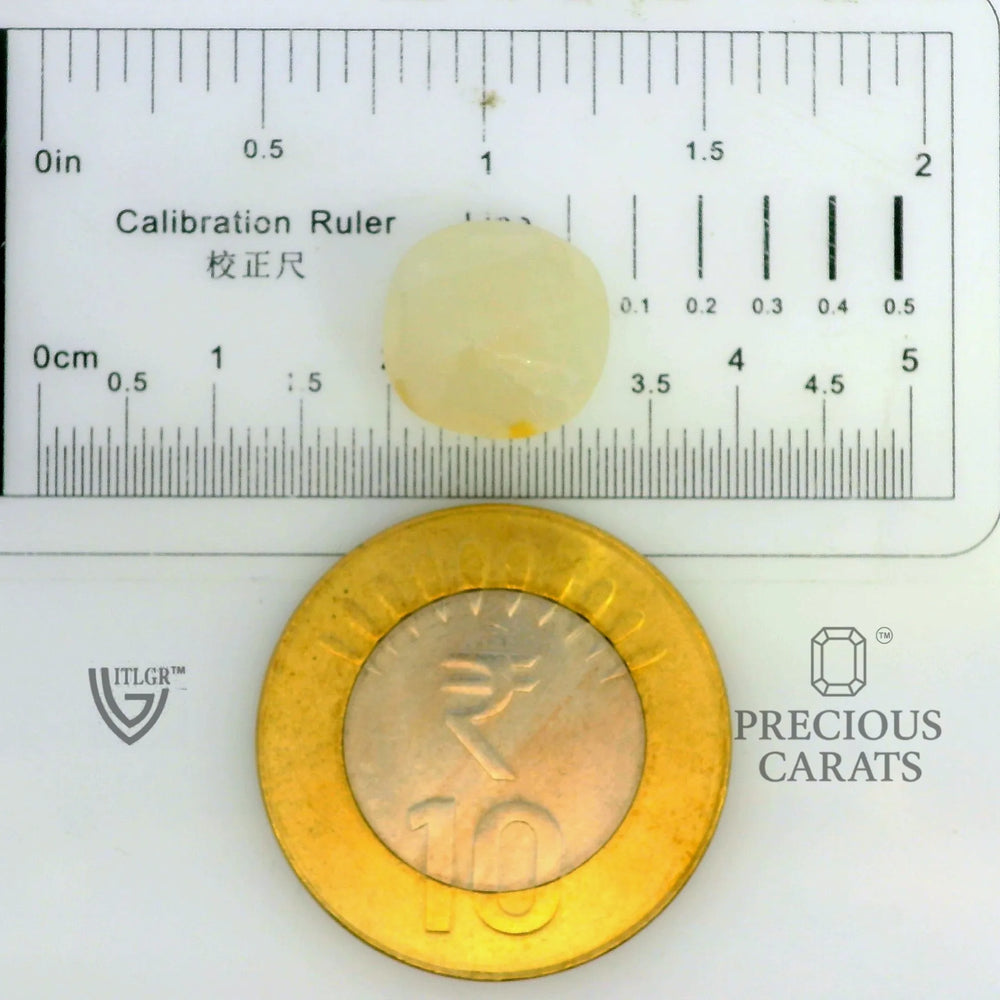 ITLGR_109986_SCALE.webp