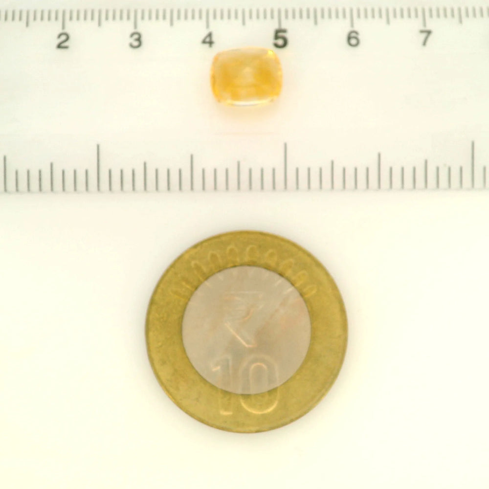 ITLGR_121746_SCALE.webp