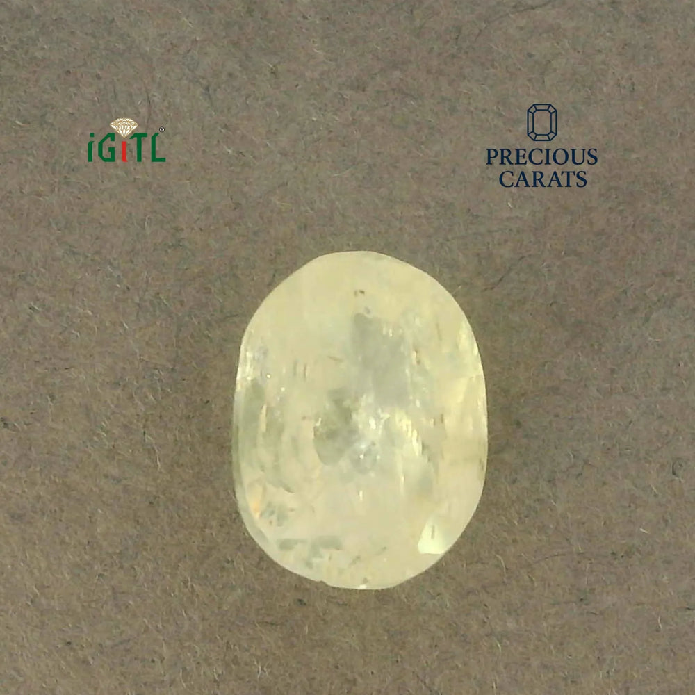IGITL_200276_TOP.webp