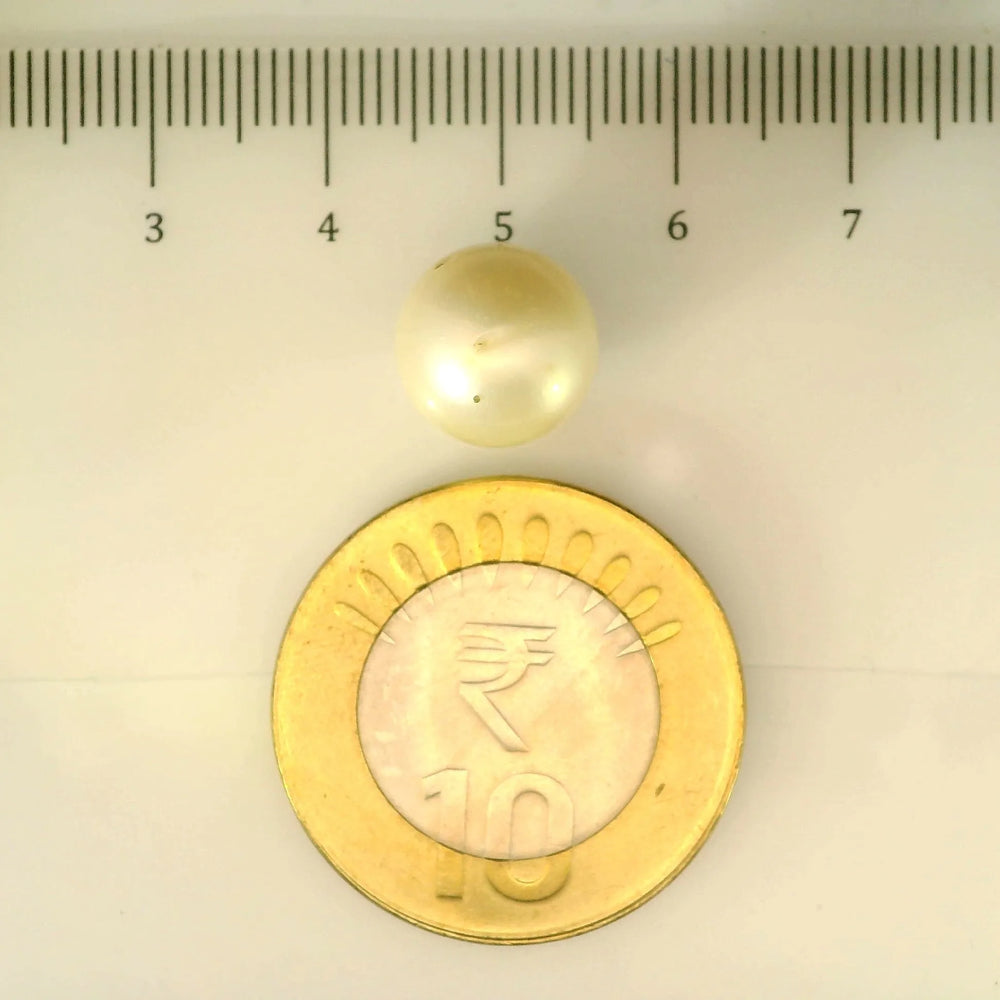 ITLGR_106903_SCALE.webp
