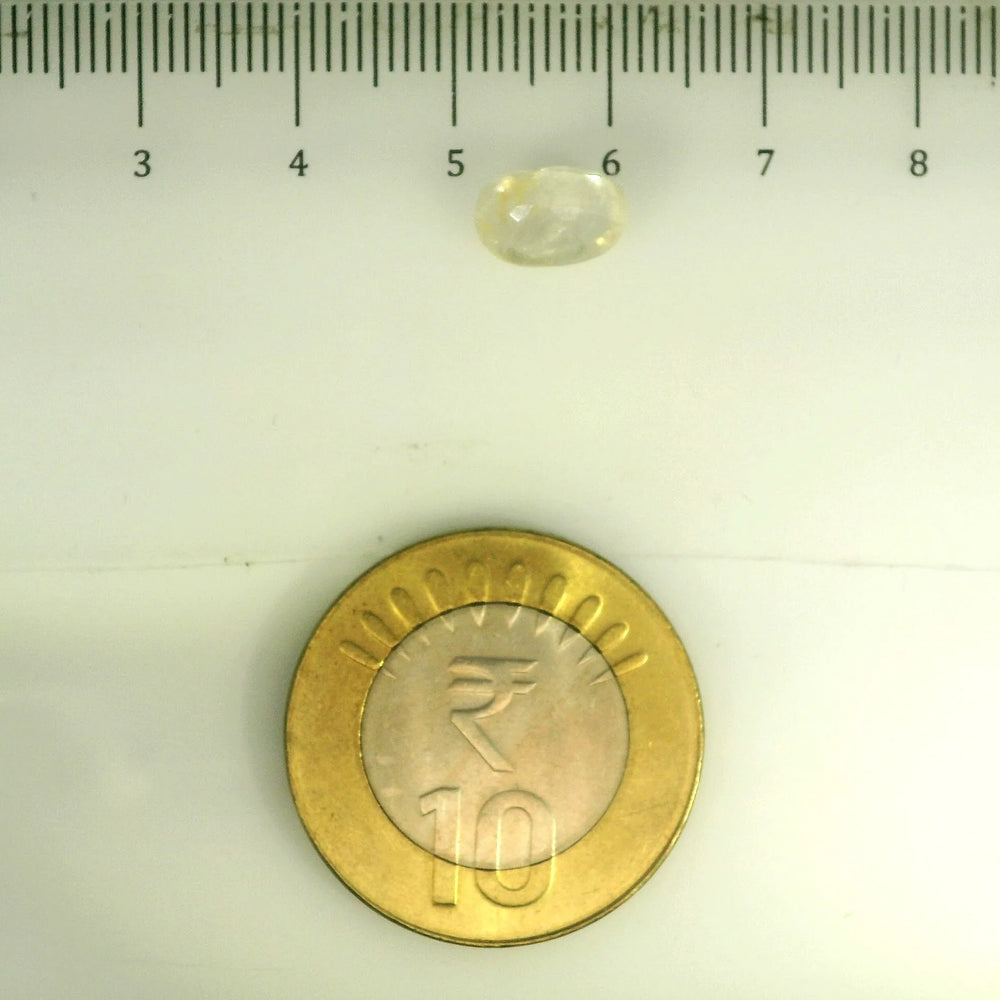 IGITL_200283_SCALE.webp