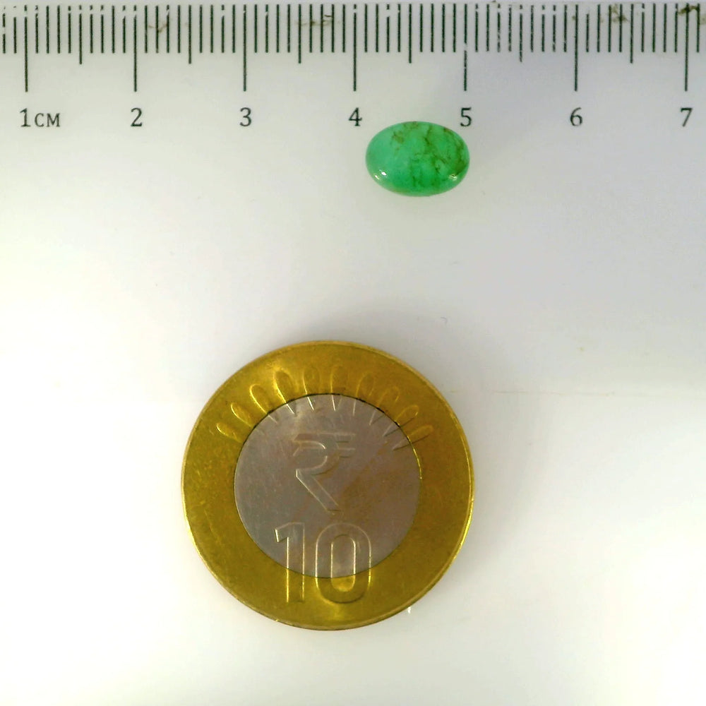 ITLGR_106851_SCALE.webp