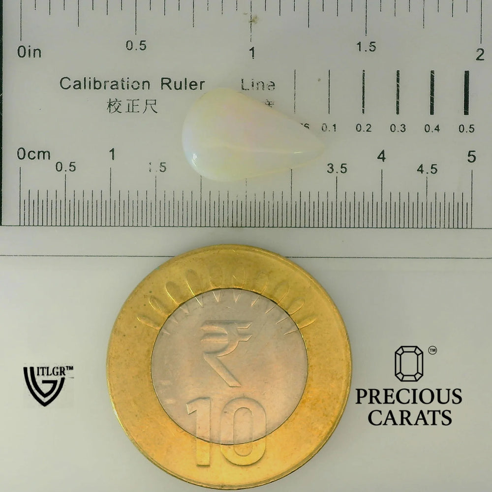 ITLGR_101926_SCALE.webp