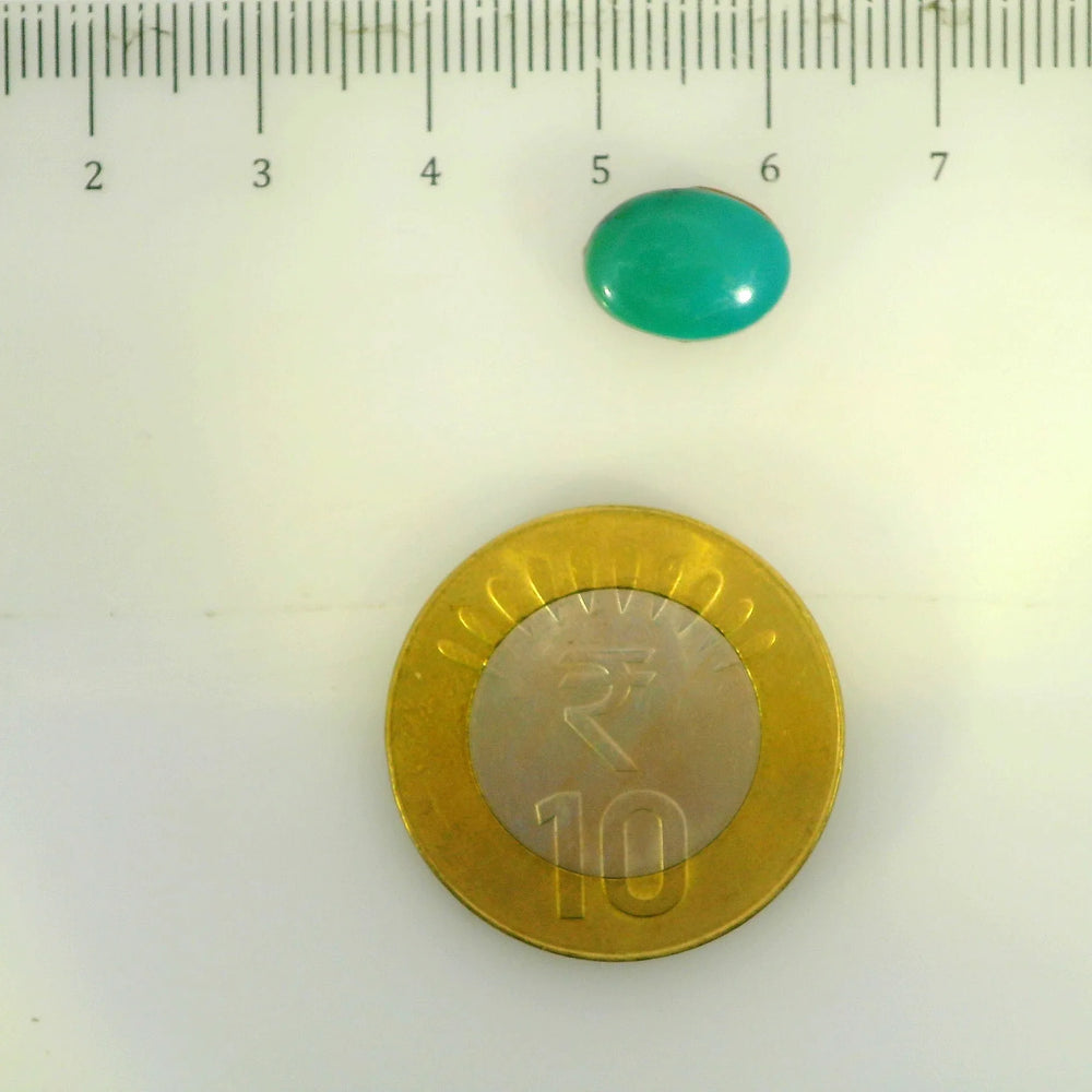 ITLGR_107231_SCALE.webp