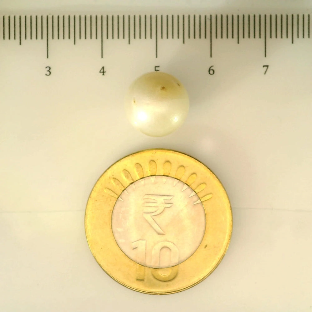 ITLGR_106911_SCALE.webp