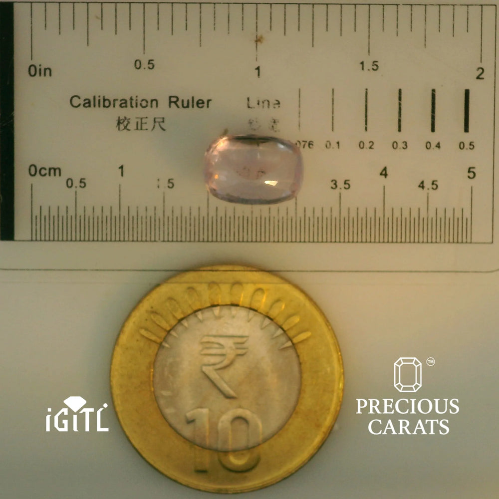 IGITL_197836_SCALE.webp
