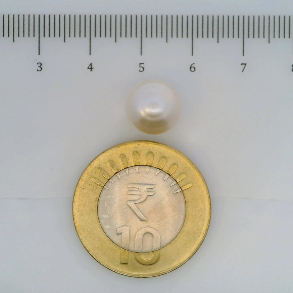 ITLGR_107031_SCALE.webp