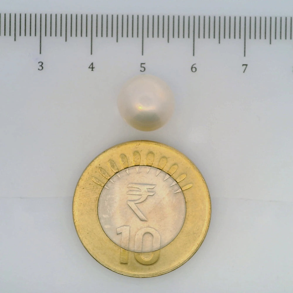 ITLGR_106966_SCALE.webp