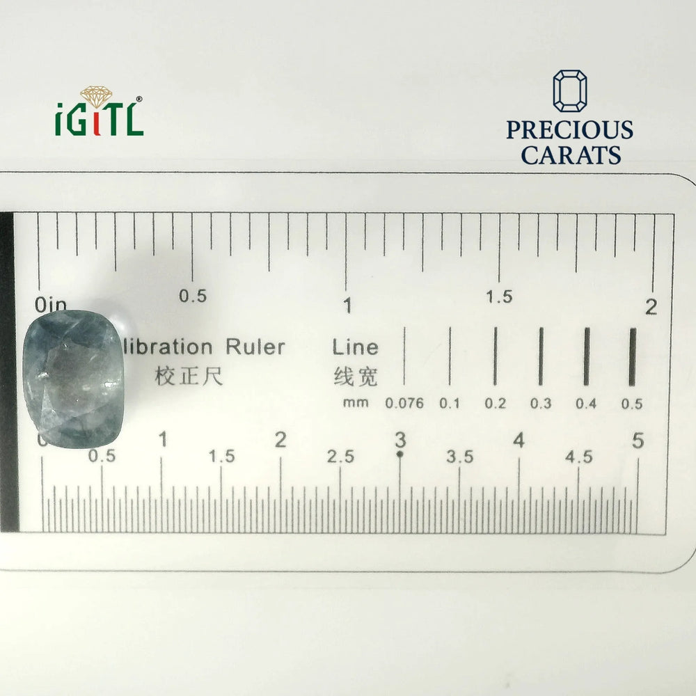 IGITL_194722_SCALE.webp