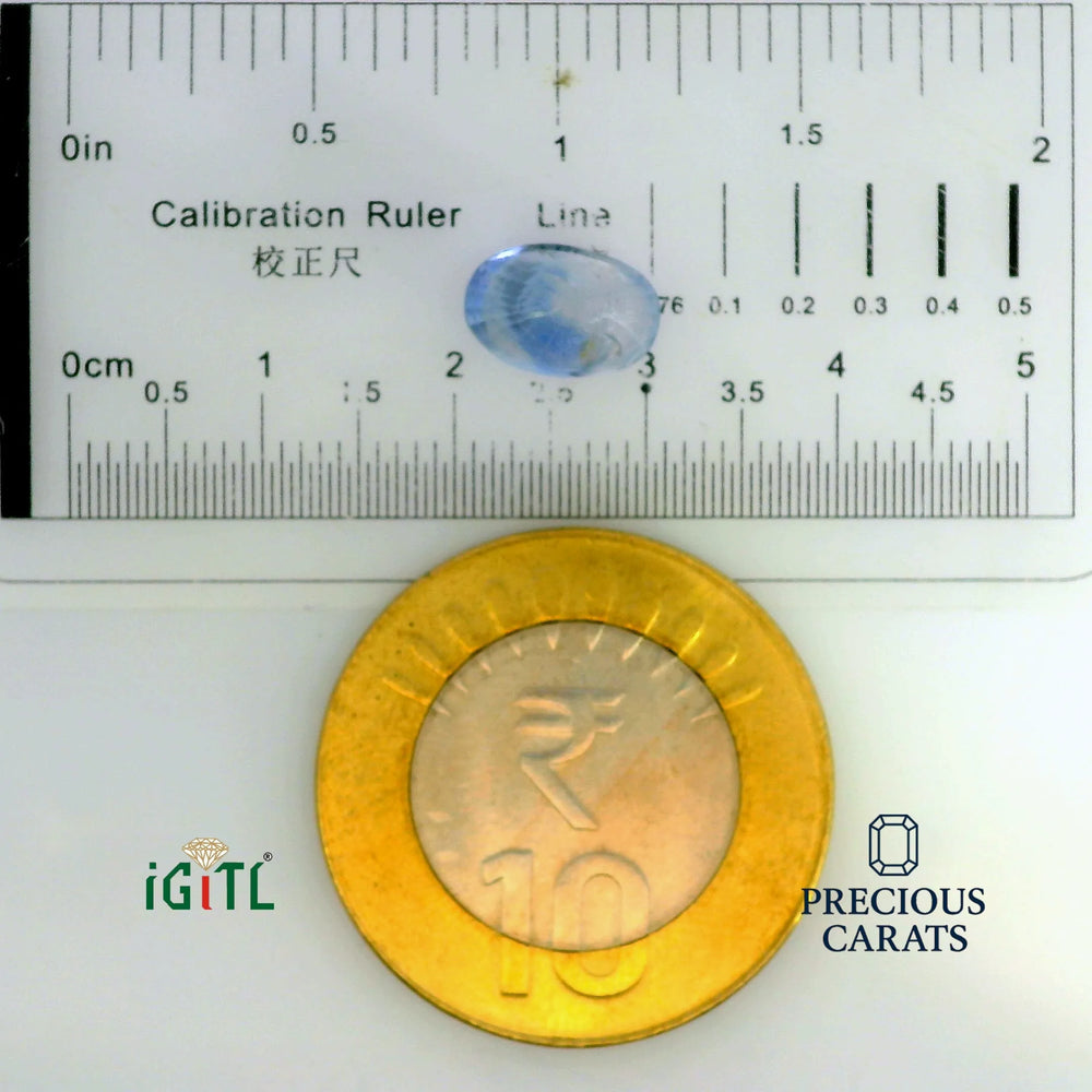 IGITL_197717_SCALE.webp