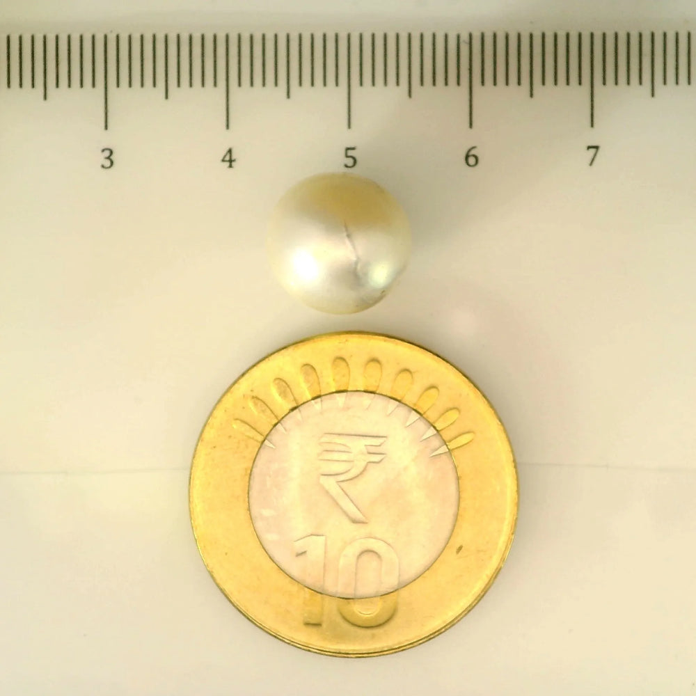 ITLGR_106900_SCALE.webp