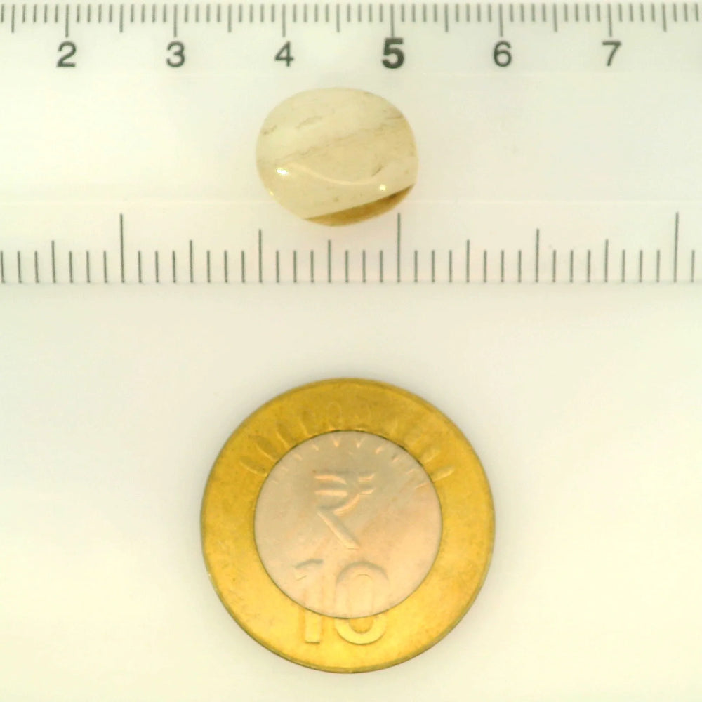 ITLGR_121462_SCALE.webp