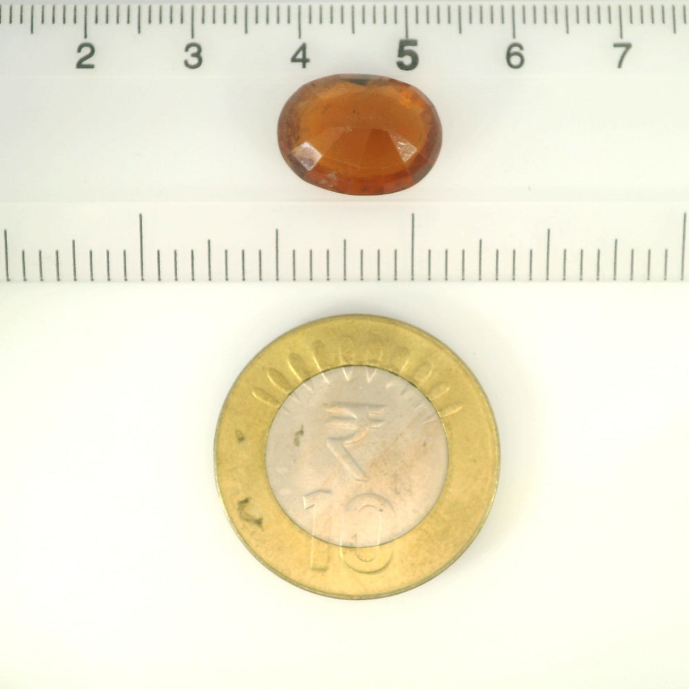 ITLGR_104372_SCALE.webp