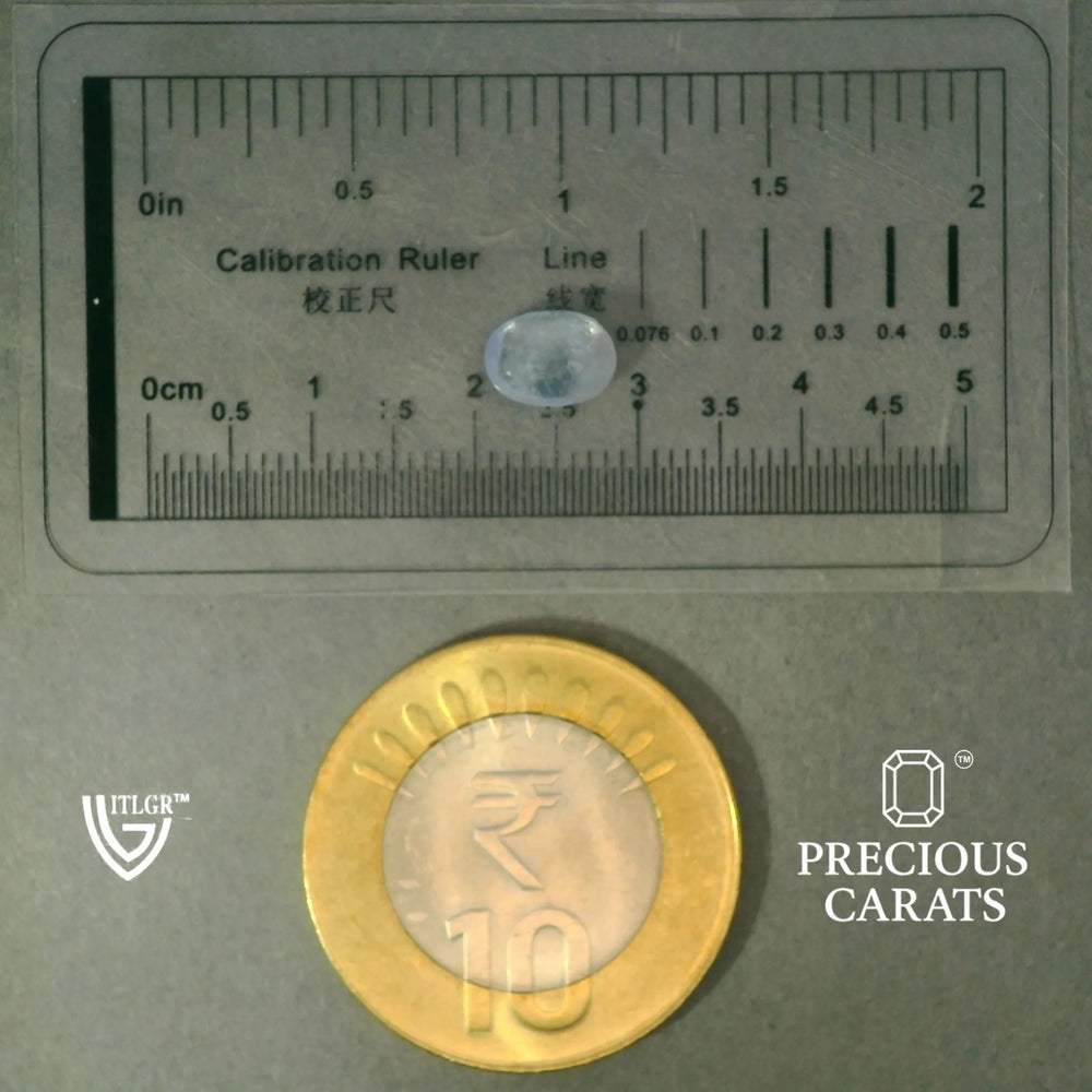 ITLGR_100458_SCALE.webp