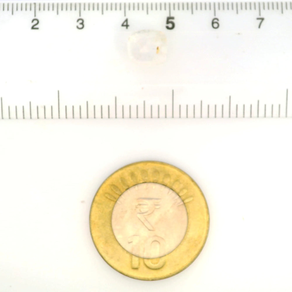 IGITL_212092_SCALE.webp