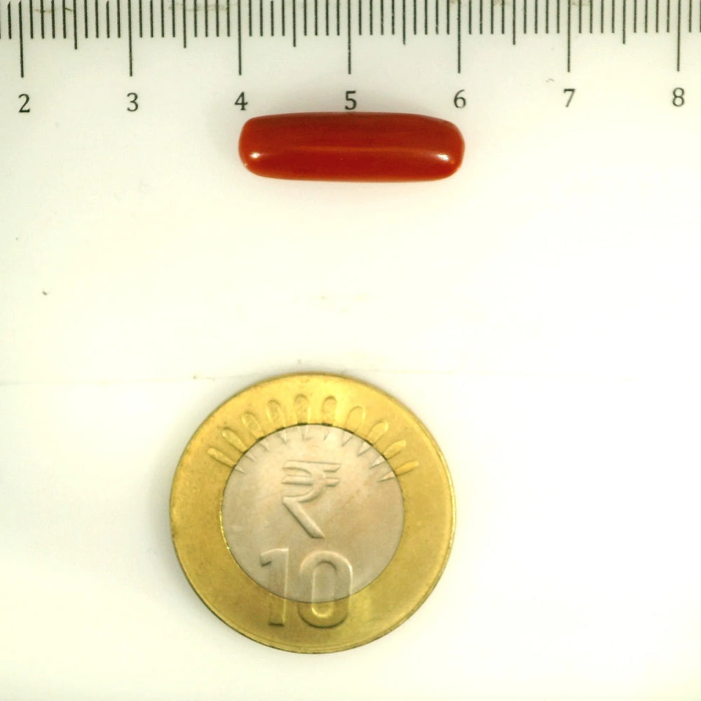 ITLGR_112846_SCALE.webp