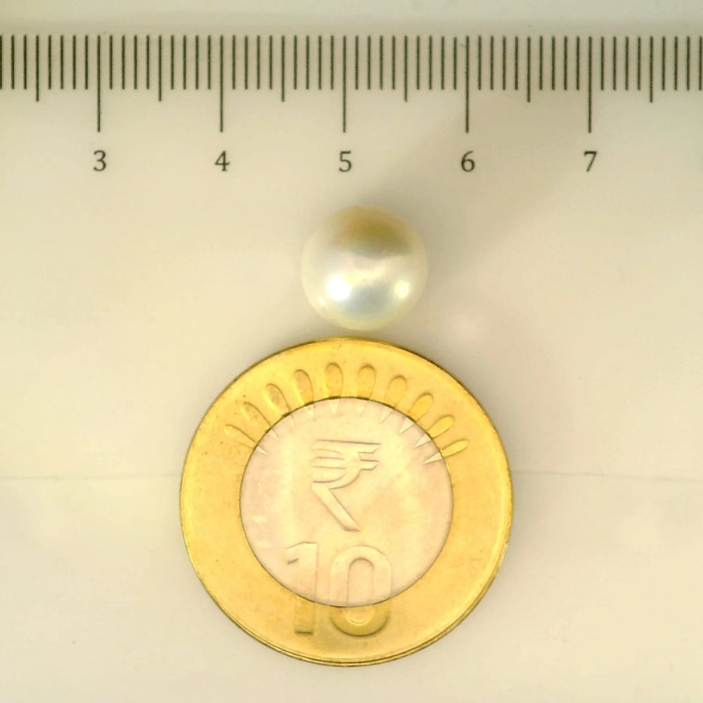 ITLGR_107003_SCALE.webp