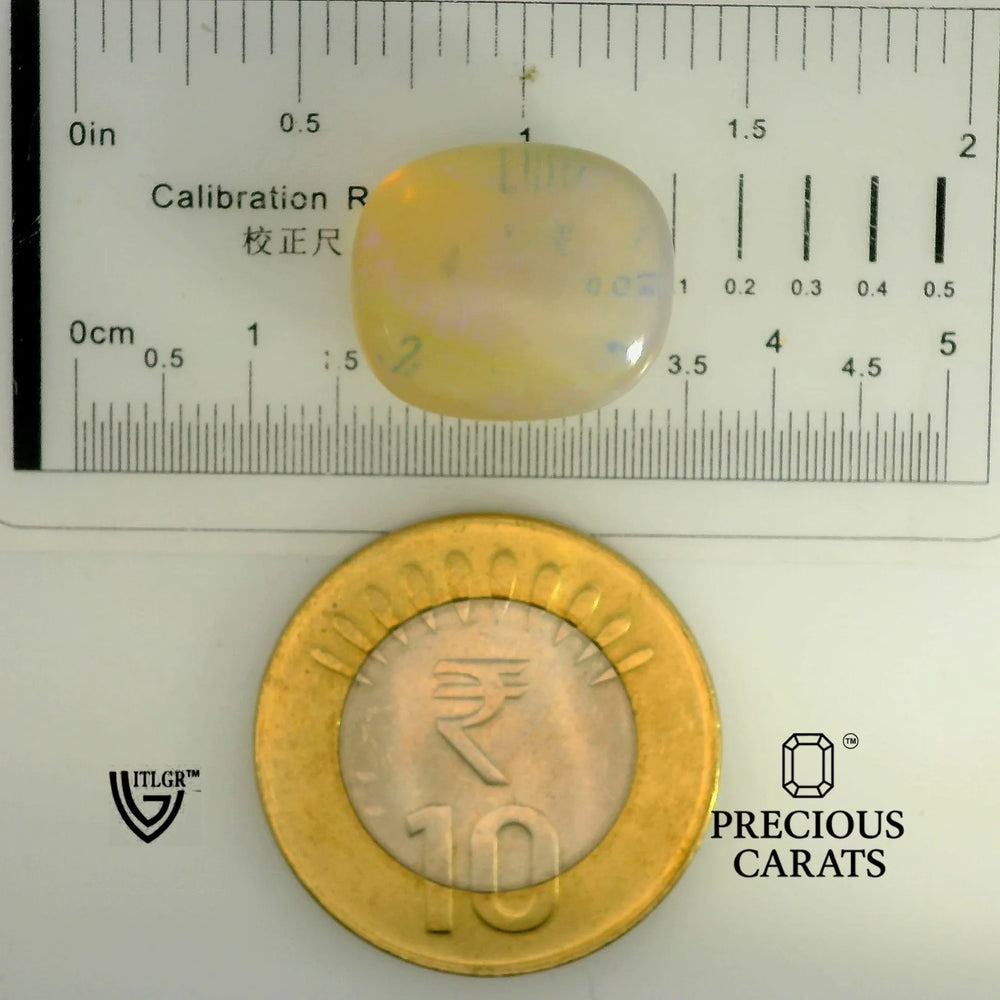 ITLGR_102012_SCALE.webp