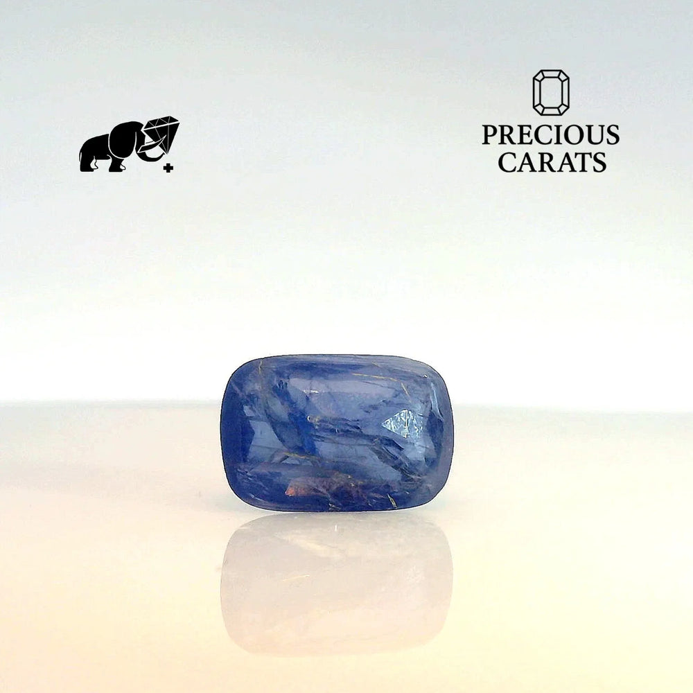 GFCO_33925-15_BACK.webp