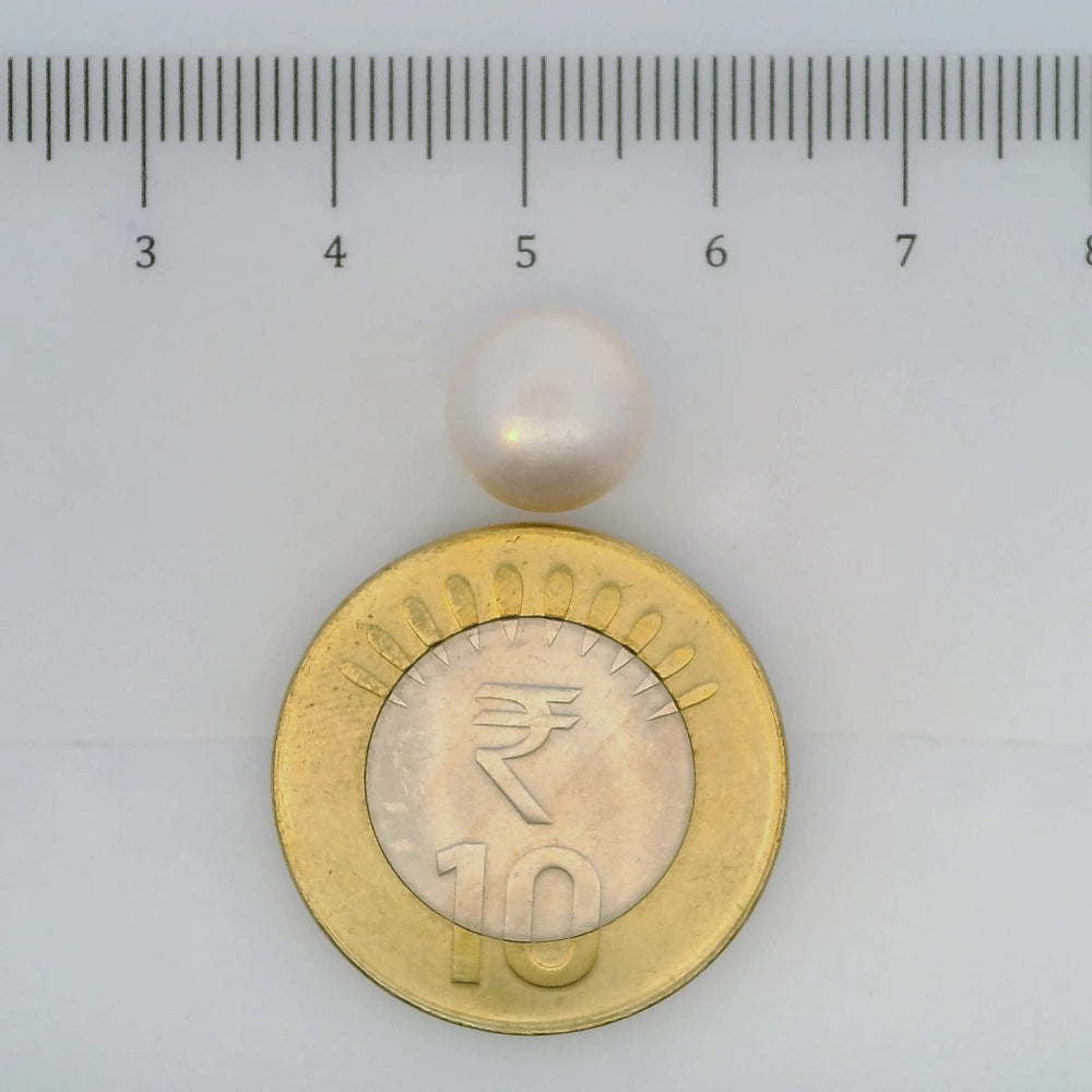 ITLGR_107028_SCALE.webp
