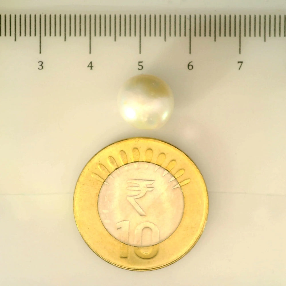 ITLGR_107005_SCALE.webp