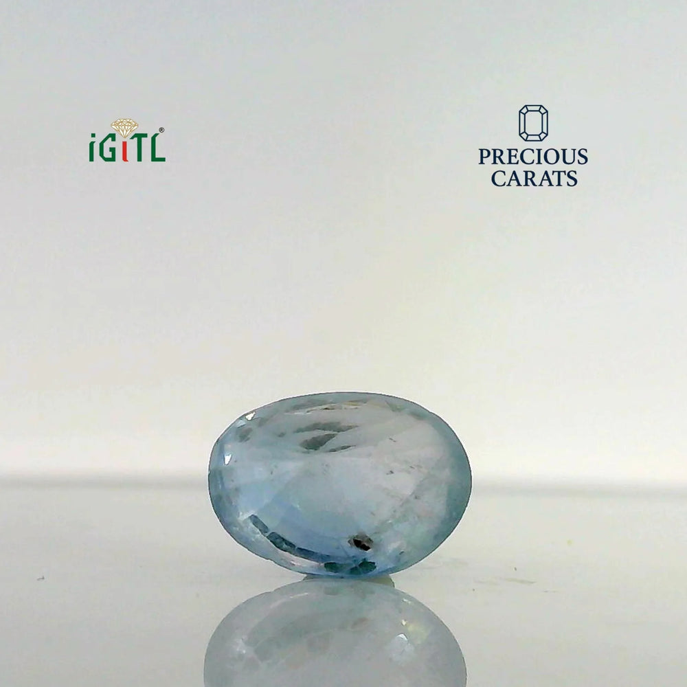 IGITL_197719_BACK.webp