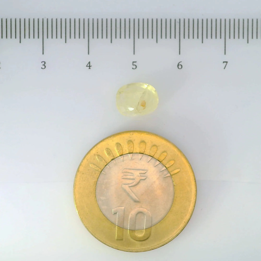 IGITL_200267_SCALE.webp