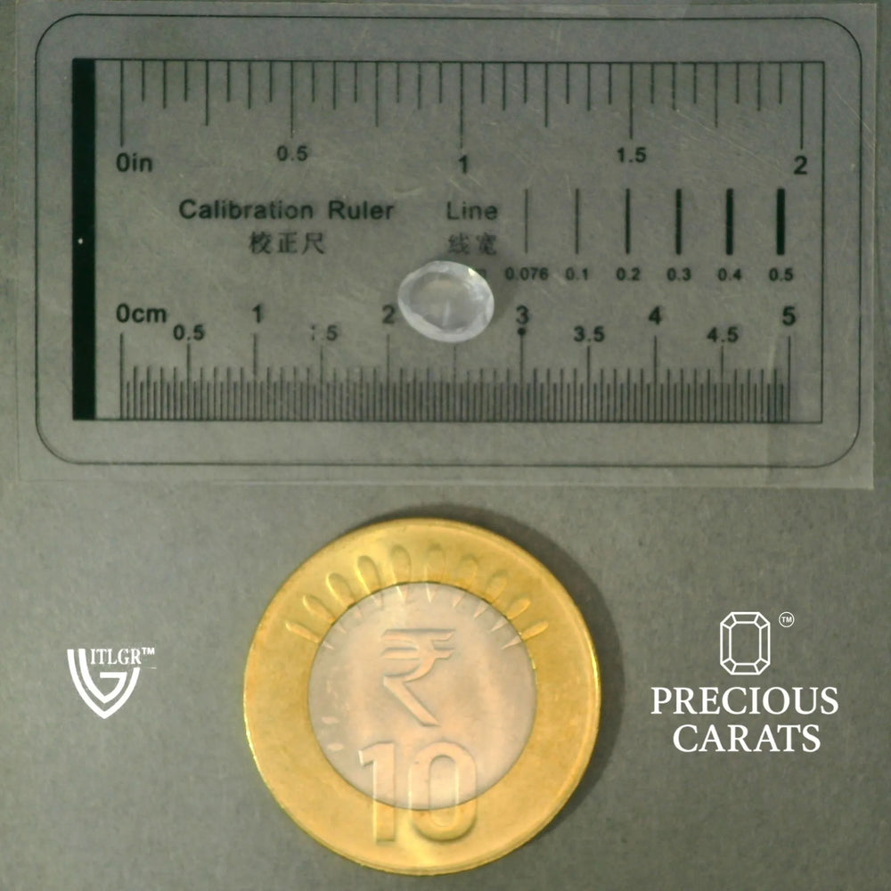 ITLGR_100446_SCALE.webp