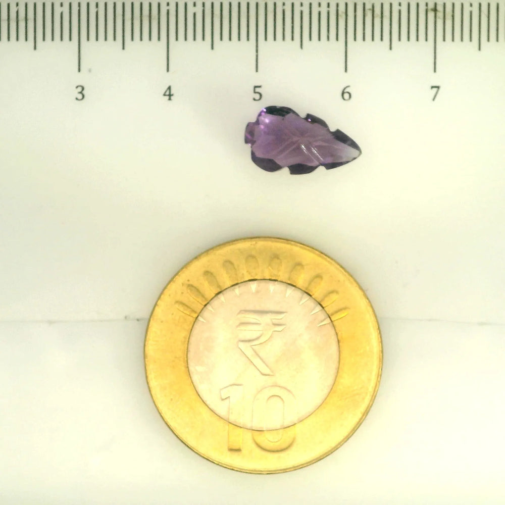 ITLGR_109446_SCALE.webp