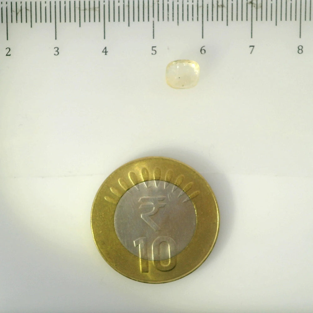 ITLGR_105003_SCALE.webp