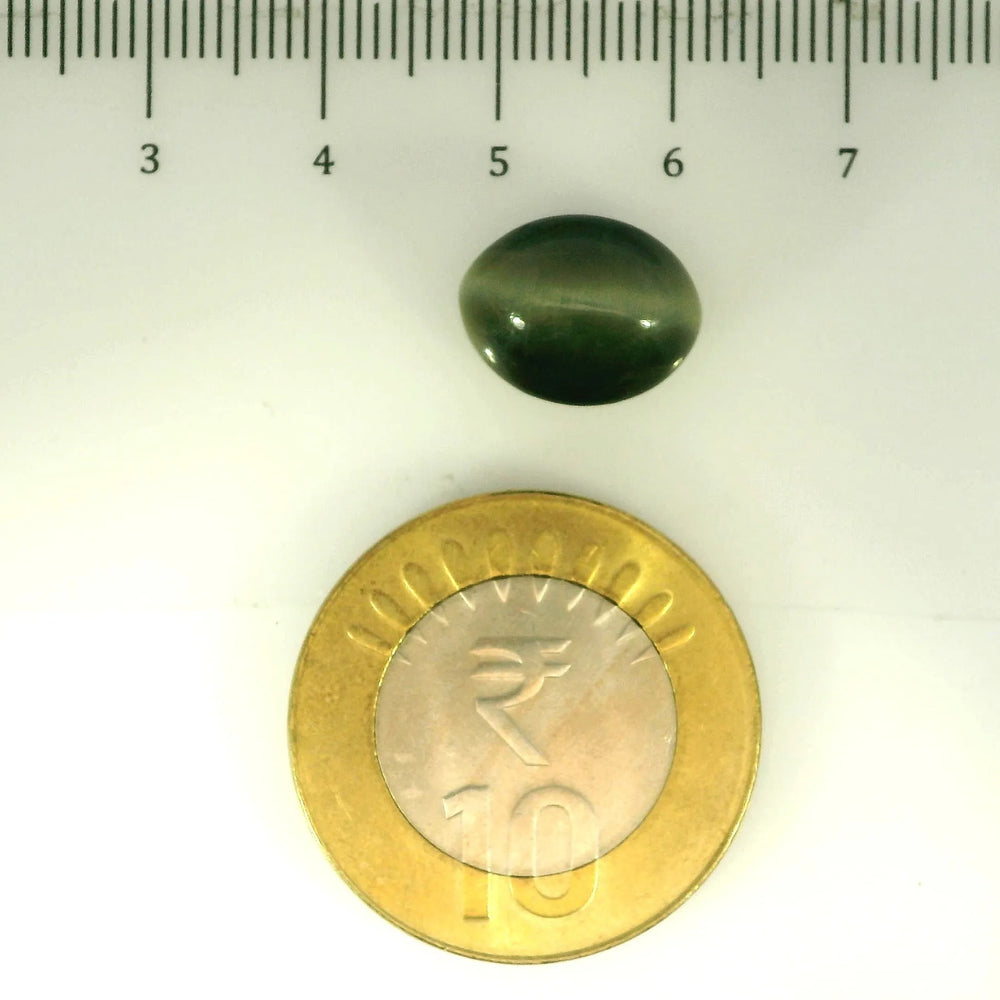 ITLGR_107043_SCALE.webp