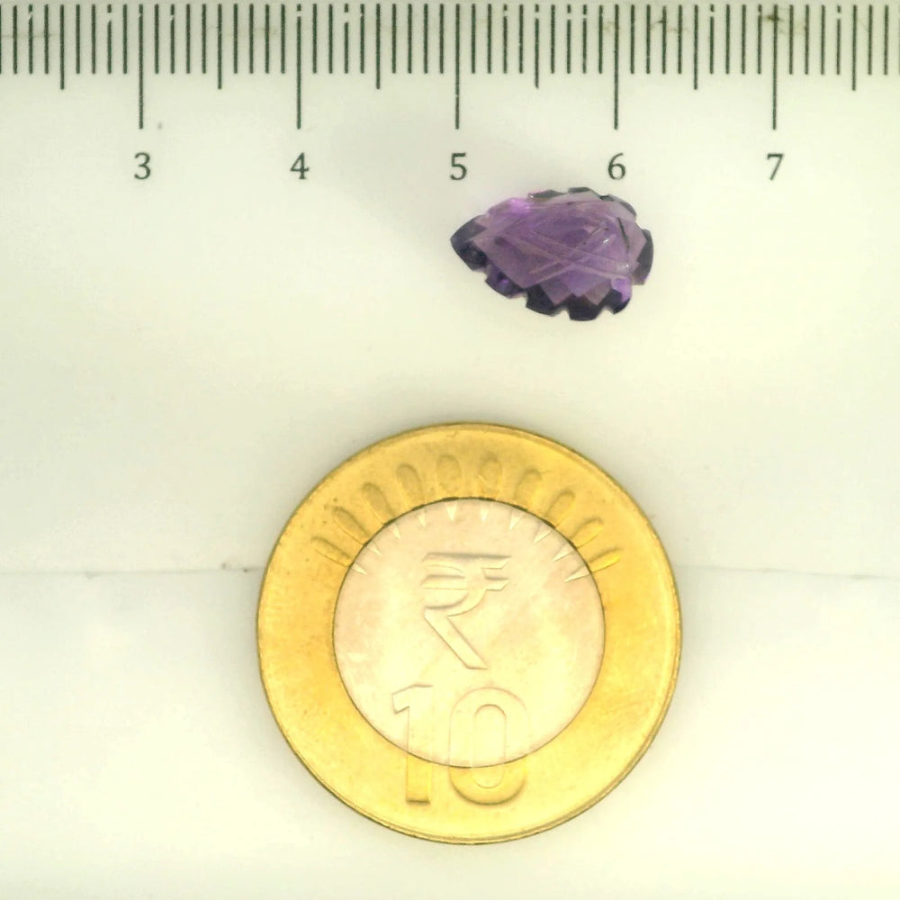 ITLGR_109456_SCALE.webp
