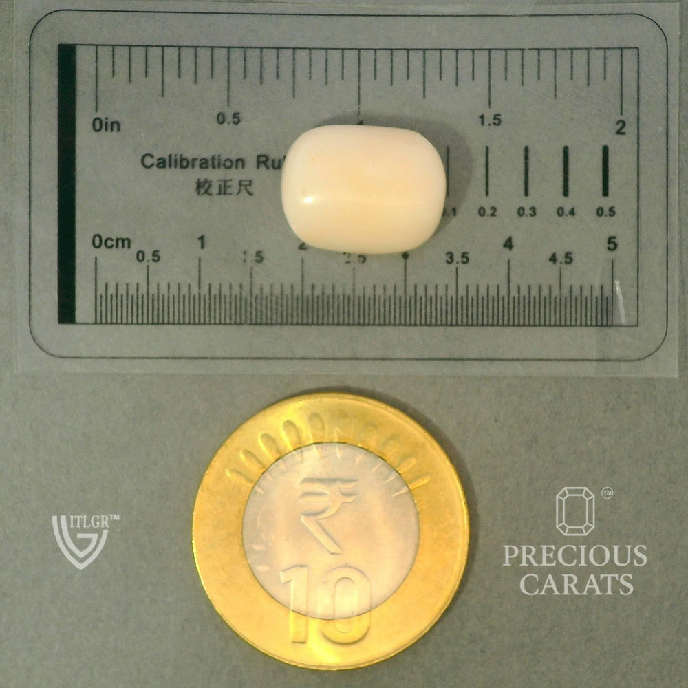 ITLGR_102023_SCALE.webp