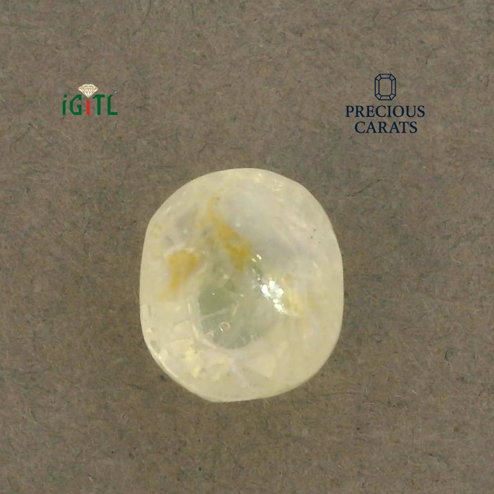 IGITL_200279_TOP.webp