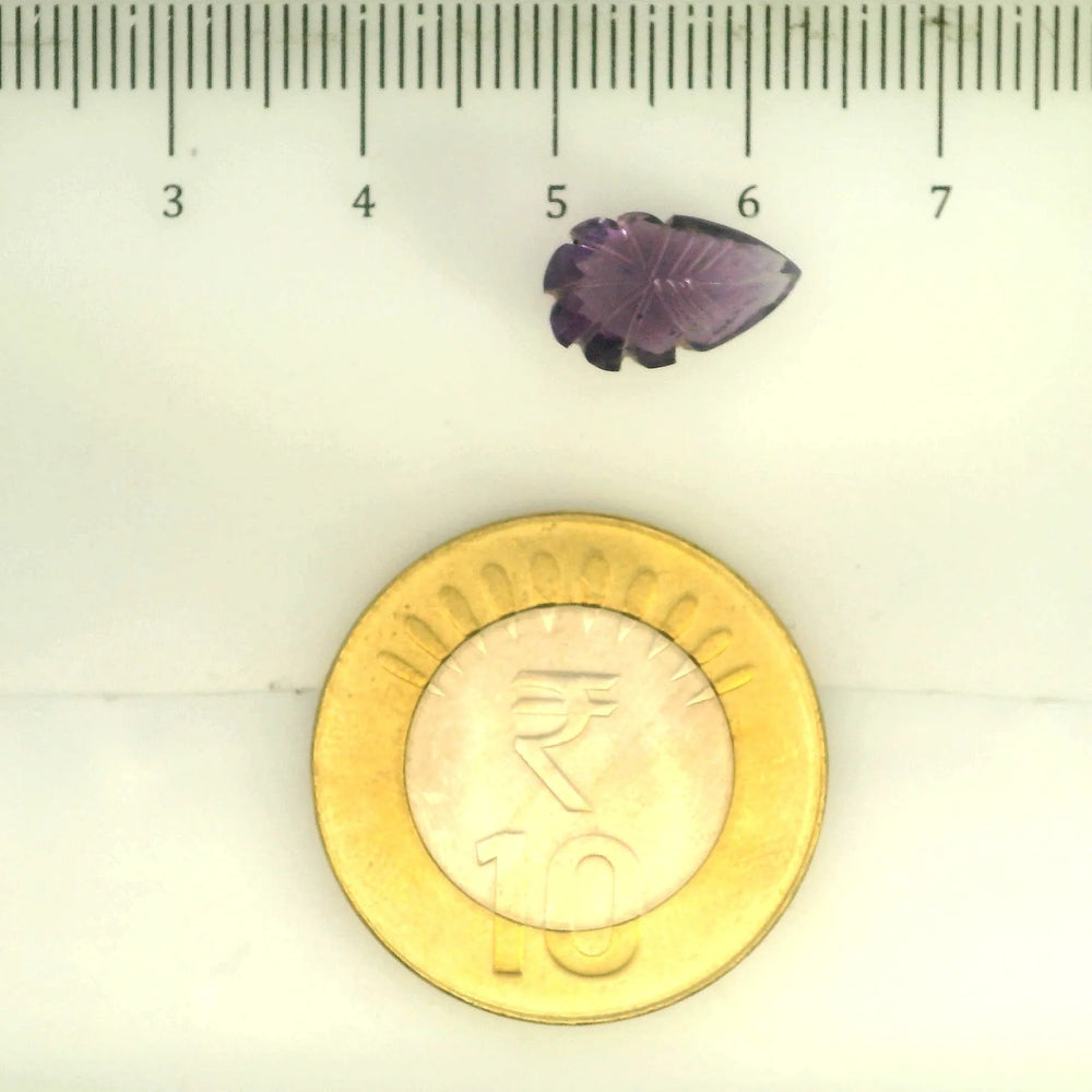 ITLGR_109458_SCALE.webp