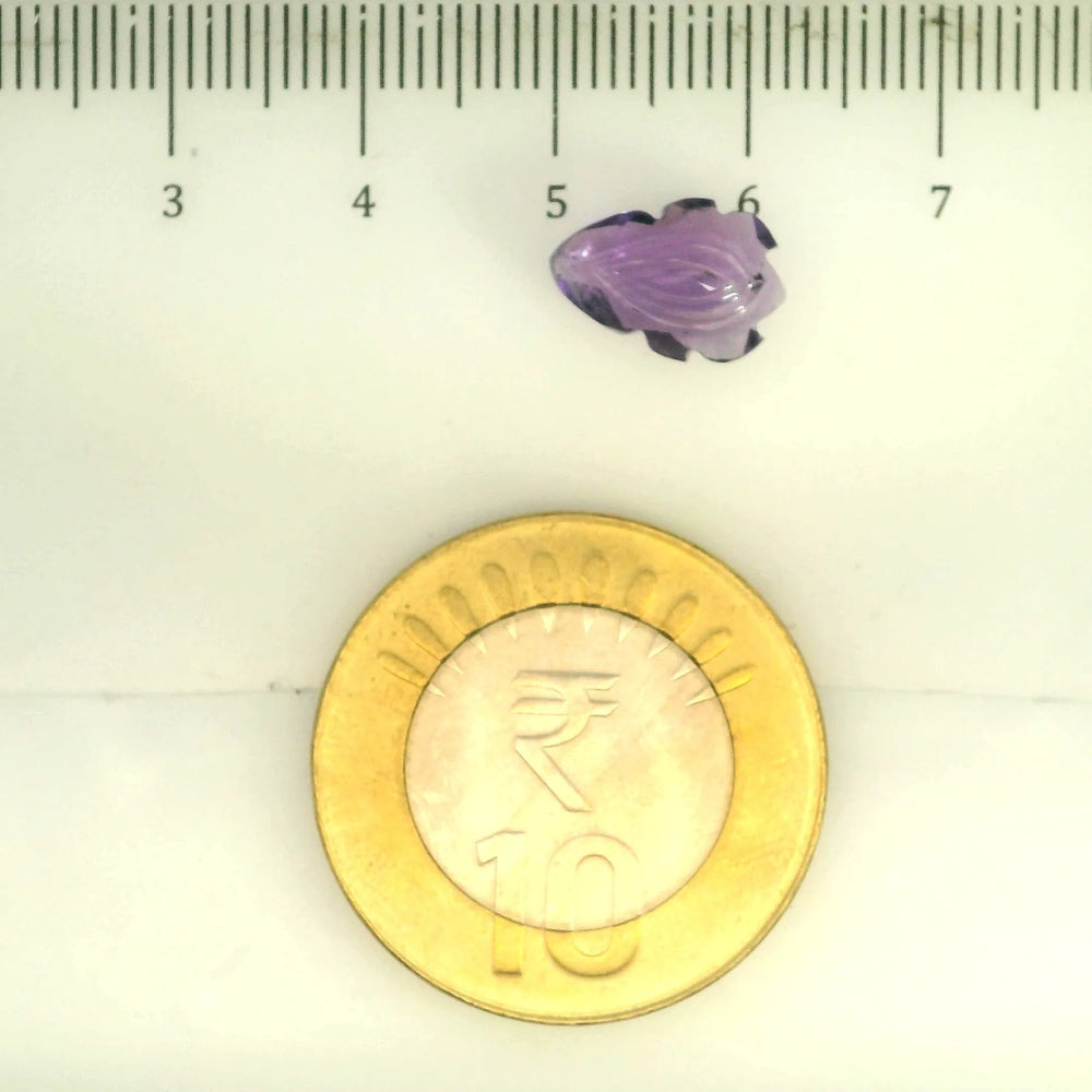 ITLGR_109443_SCALE.webp