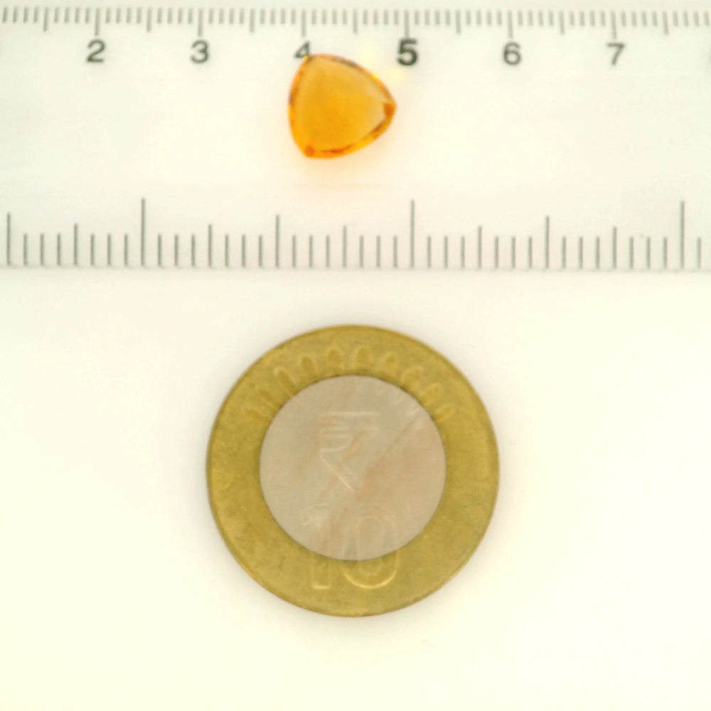 ITLGR_121756_SCALE.webp
