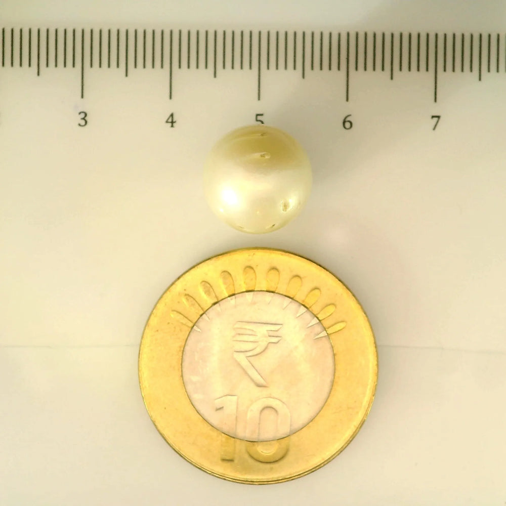 ITLGR_106917_SCALE.webp