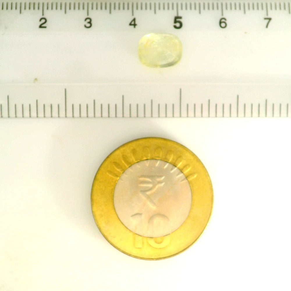 IGITL_211667_SCALE.webp