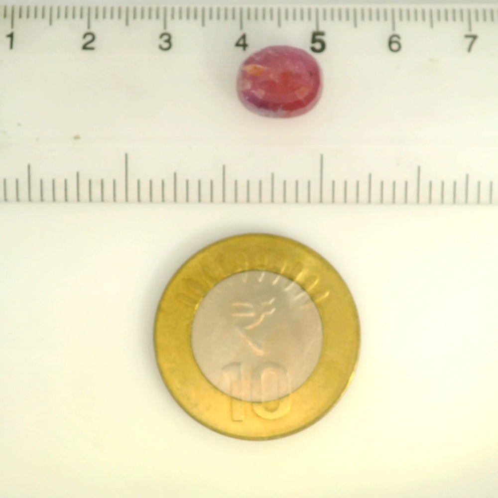 ITLGR_109885_SCALE.webp